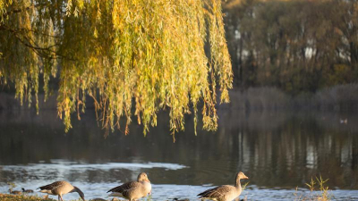 Die größte der drei Wasserflächen des Parks ist der Stauteich Die größte der drei Wasserflächen des Parks ist der Stauteich