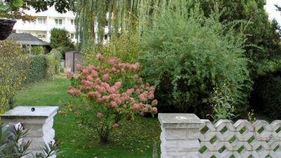 ... sondern auch eine großzügige Terrasse für gemütliche Grillabende. ... sondern auch eine großzügige Terrasse für gemütliche Grillabende.