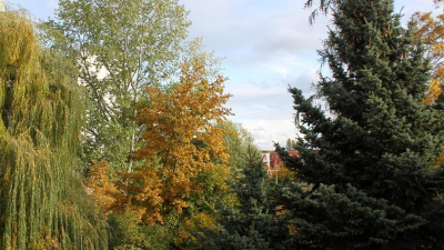 ... und einen unglaublich schönen Ausblick zum Erholungspark. ... und einen unglaublich schönen Ausblick zum Erholungspark.