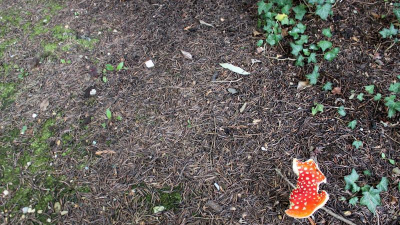 Ein letzter Blick in den Vorgarten des Einfamilienhauses mit Erinnerungen an den Sommer. Ein letzter Blick in den Vorgarten des Einfamilienhauses mit Erinnerungen an den Sommer.