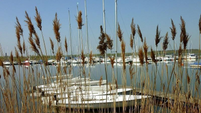 ... und das entstandene Neuseenland ... und das entstandene Neuseenland