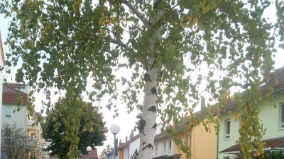 Angeboten wird in der Sportstadt am See Angeboten wird in der Sportstadt am See