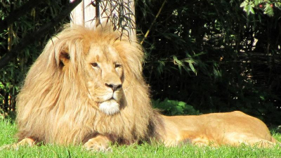 und ist auch durch seinen artenreichen Zoo weltweit bekannt. und ist auch durch seinen artenreichen Zoo weltweit bekannt.