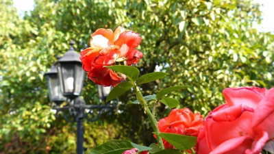 Ein großes Haus für eine große Familie ... Ein großes Haus für eine große Familie ...