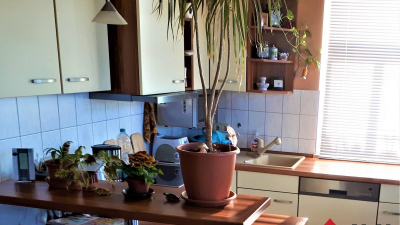 mit 61 m² aufgeteilt in 3 Zimmer mit 61 m² aufgeteilt in 3 Zimmer