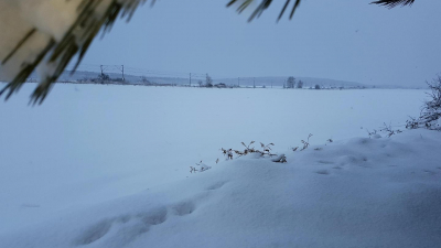 und für zwei Familien bietet. und für zwei Familien bietet.