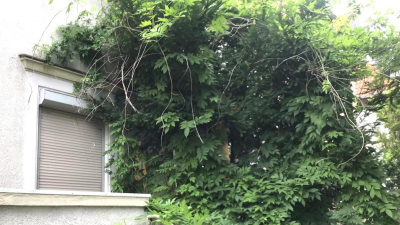 Angeboten wird eine unsanierte Doppelhaushälfte Angeboten wird eine unsanierte Doppelhaushälfte