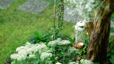 Viel Grün säumt hier die Straßen Viel Grün säumt hier die Straßen