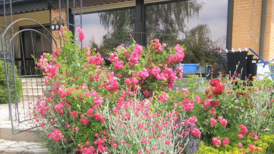 ... Großes Einfamilienhaus ... Großes Einfamilienhaus