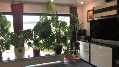 Augsburg und Ulm sowie Augsburg und Ulm sowie