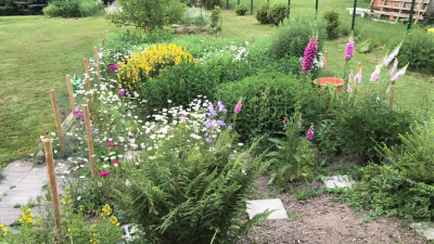 ist im Jahr 2005 in ist im Jahr 2005 in