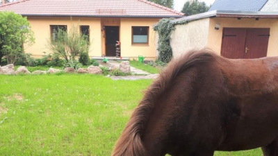 massiver Bauweise errichtet worden. massiver Bauweise errichtet worden.