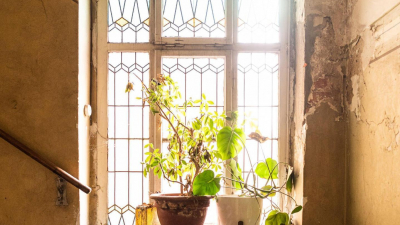 die nach einer umfangreichen Sanierung die nach einer umfangreichen Sanierung