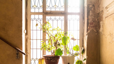 die nach einer umfangreichen Sanierung die nach einer umfangreichen Sanierung