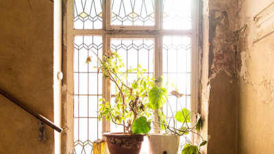 die nach einer umfangreichen Sanierung die nach einer umfangreichen Sanierung