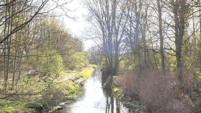 gut nutzbarer Wohneinheiten. gut nutzbarer Wohneinheiten.