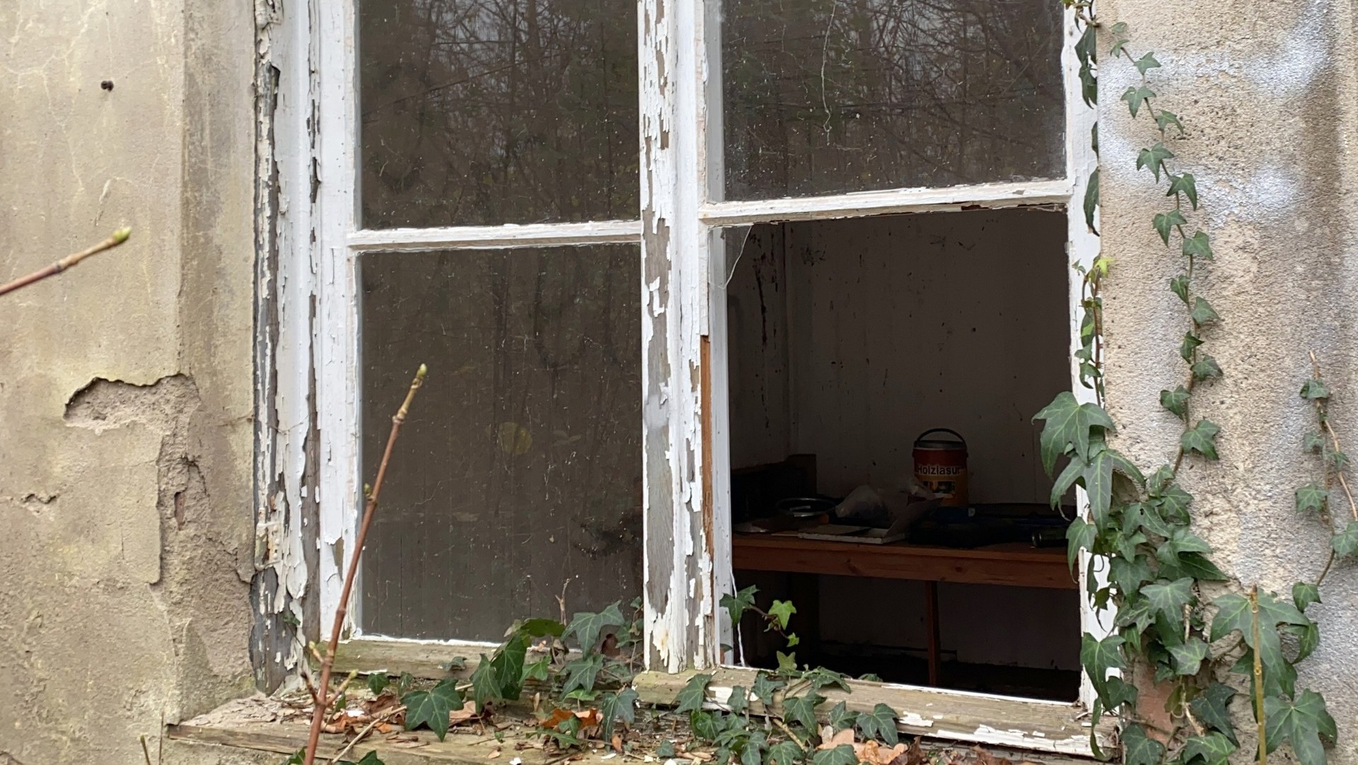 für Naturliebhaber in der Mulde Metropole Grimma- für Naturliebhaber in der Mulde Metropole Grimma-