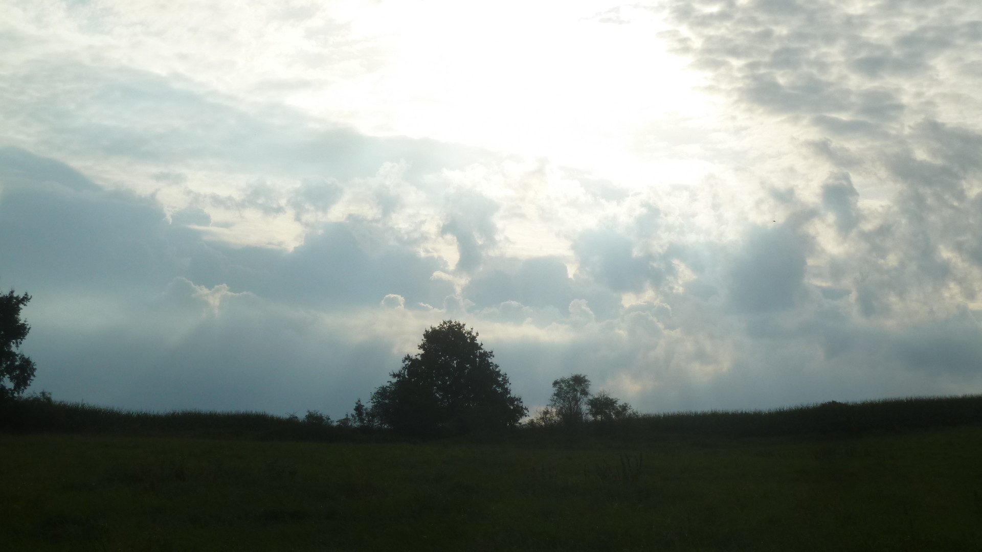 mit einer Grundstücksgröße von ca- 2-265-00 m²- mit einer Grundstücksgröße von ca- 2-265-00 m²-