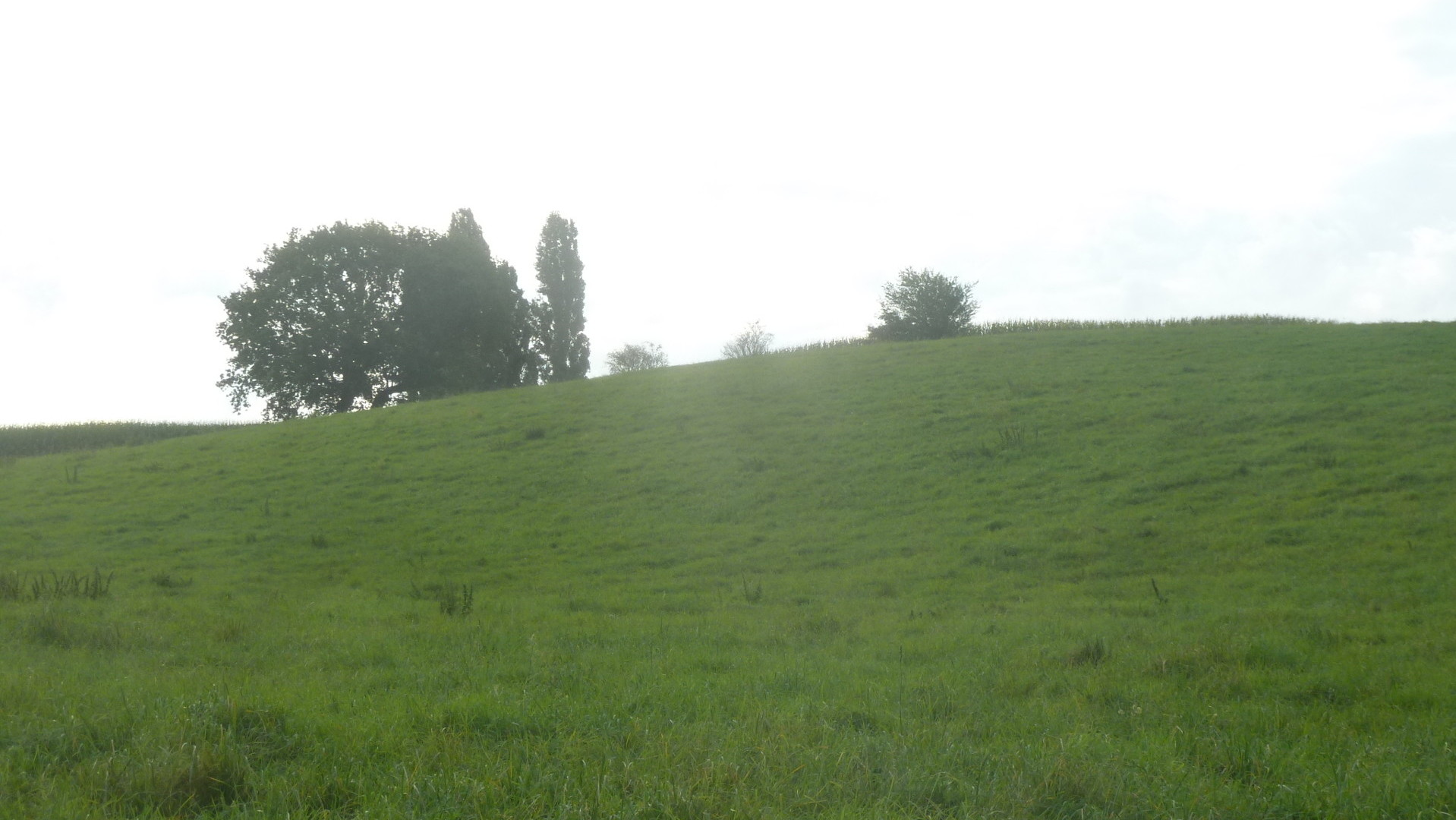 davon betragen davon betragen die zu Wohnzwecken genutzte Verkehrsfläche davon betragen davon betragen die zu Wohnzwecken genutzte Verkehrsfläche