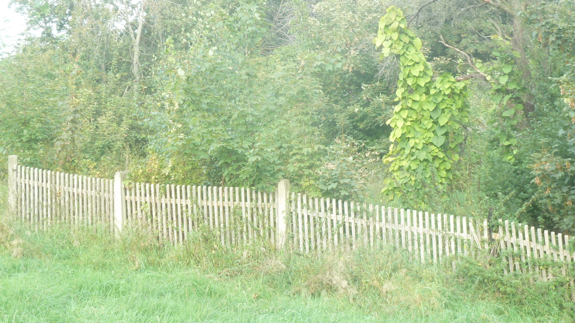 Aktuell befindet sich auf dem Grundstück Aktuell befindet sich auf dem Grundstück