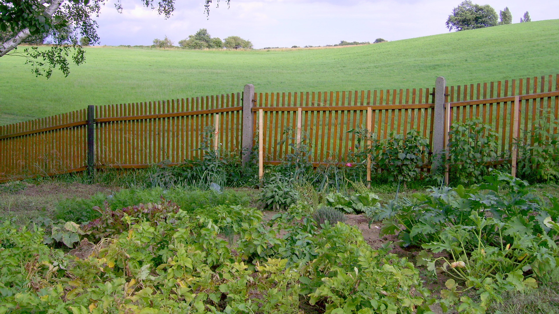 Es handelt sich um ein Grundstück in Teilung- Es handelt sich um ein Grundstück in Teilung-