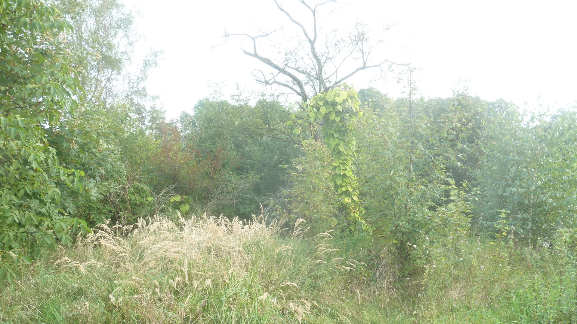 Die Vermessung zum Zweck der Bildung von neuen Flurstücken Die Vermessung zum Zweck der Bildung von neuen Flurstücken