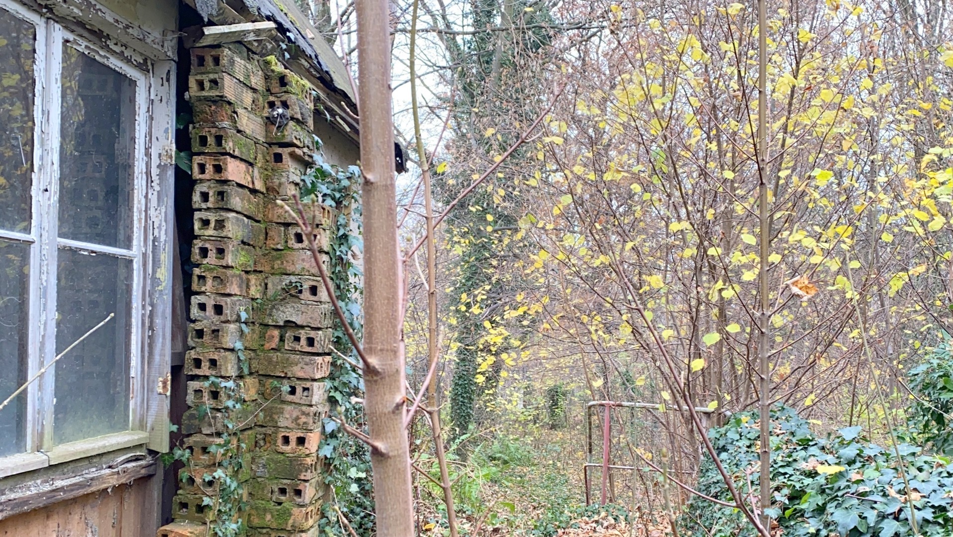 aus 1947-35 wurde am 29- Oktober 2021 aus 1947-35 wurde am 29- Oktober 2021