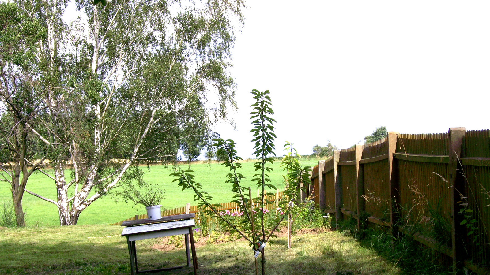 über die Straßen „Döbener Weg“ oder „Am Schomerberg“- über die Straßen „Döbener Weg“ oder „Am Schomerberg“-