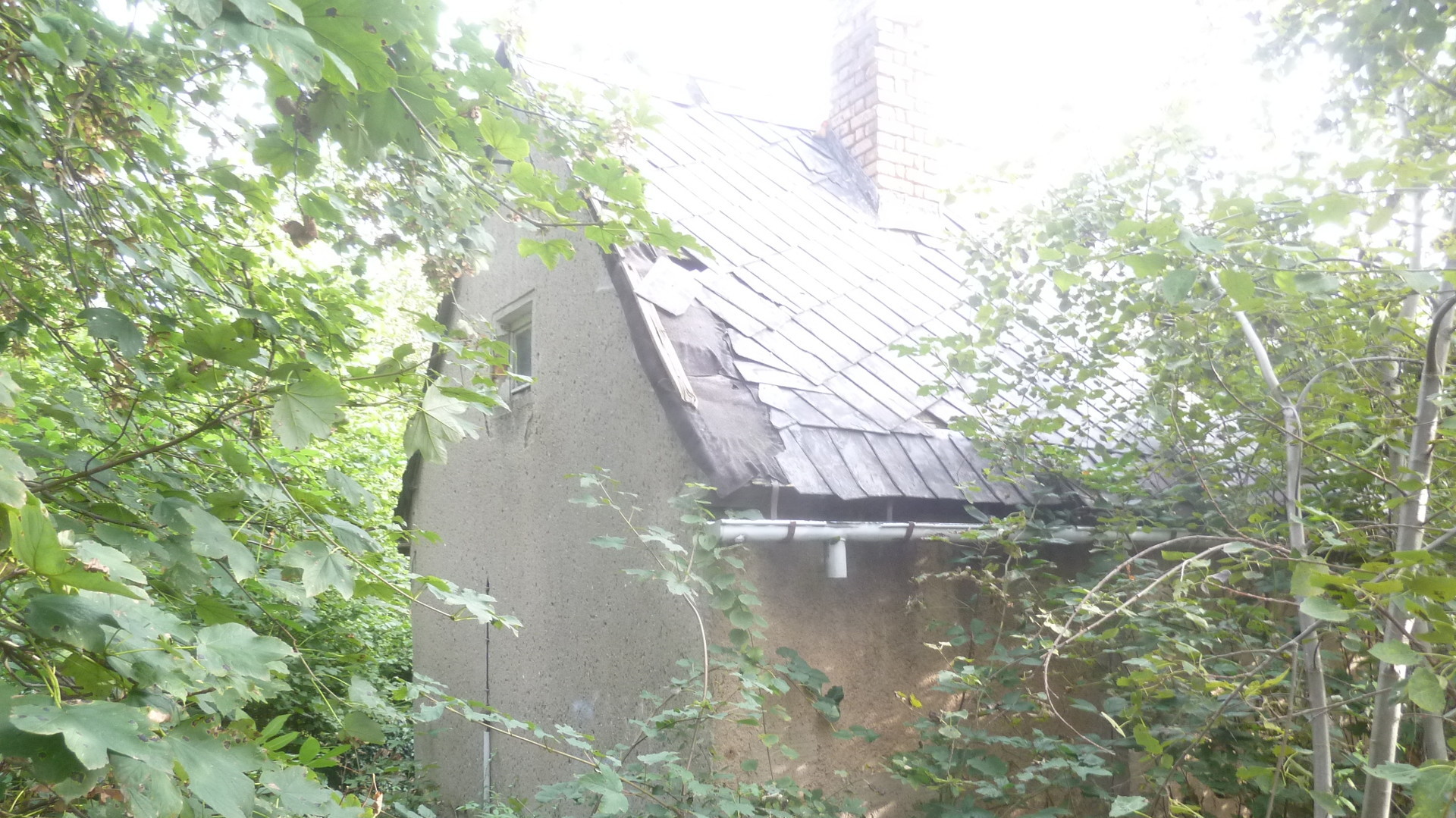 Das Grundstück liegt hochwasserfrei- Das Grundstück liegt hochwasserfrei-