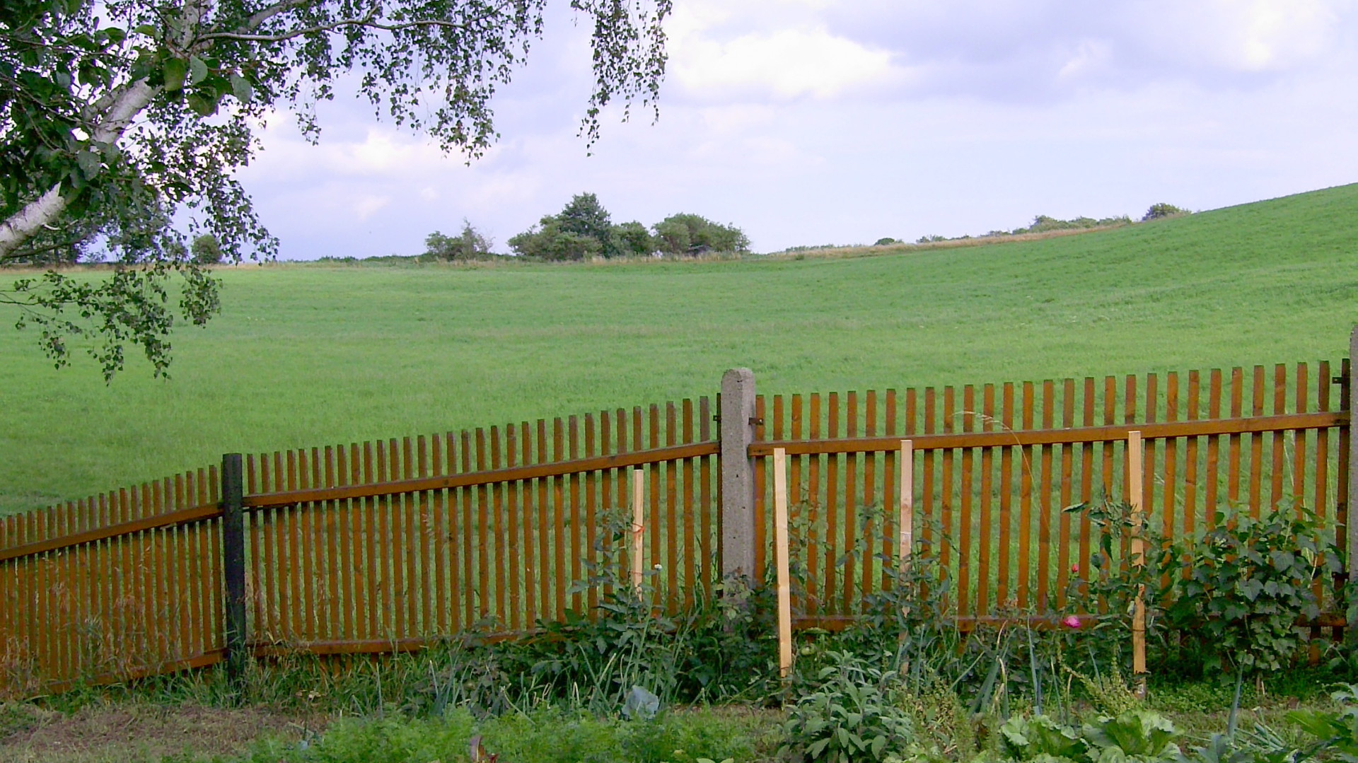 in der Nähe der Grimmaer Muldenbrücke- in der Nähe der Grimmaer Muldenbrücke-