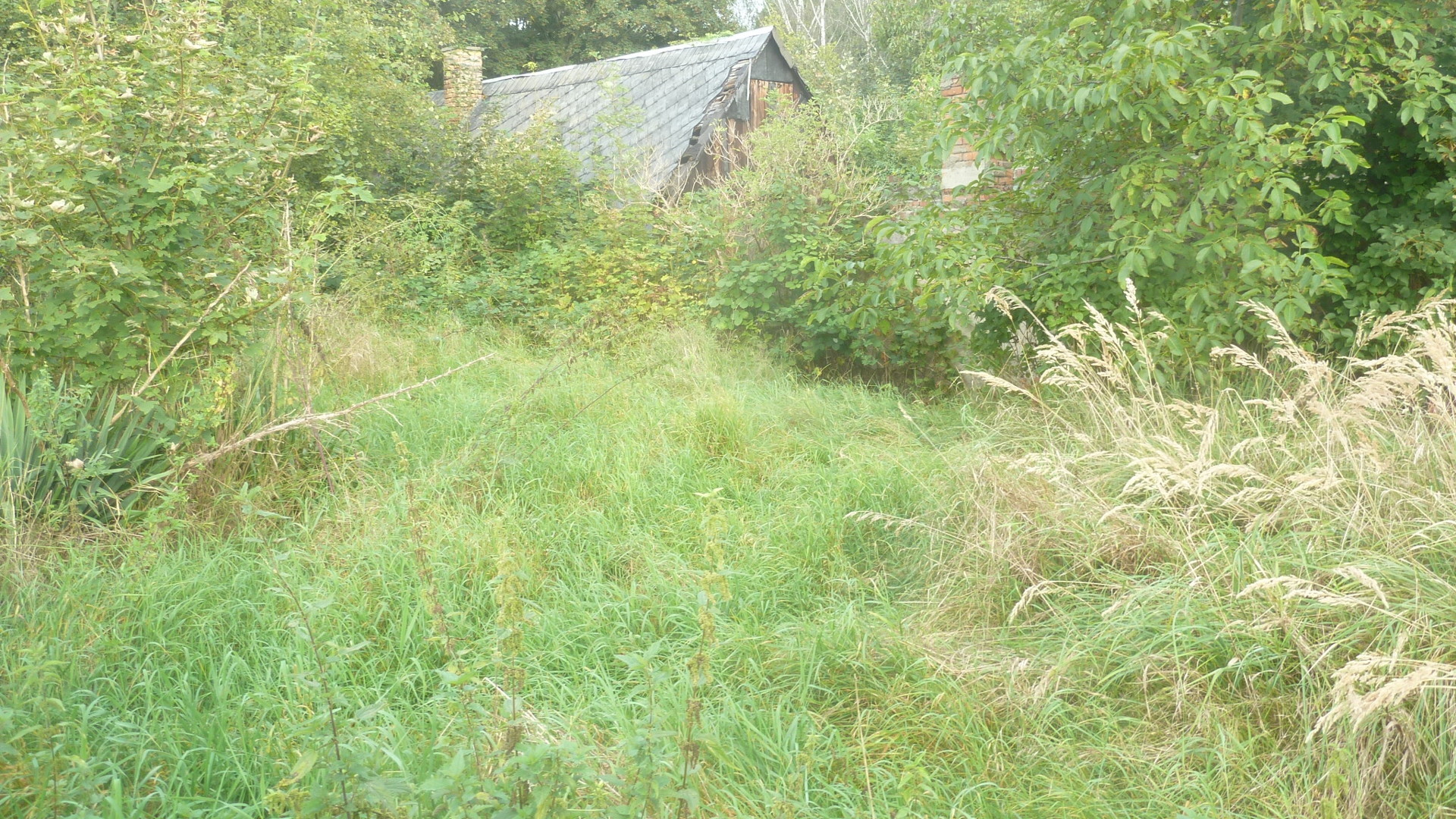 Gleichzeitig dominieren hier landschaftliche- Gleichzeitig dominieren hier landschaftliche-