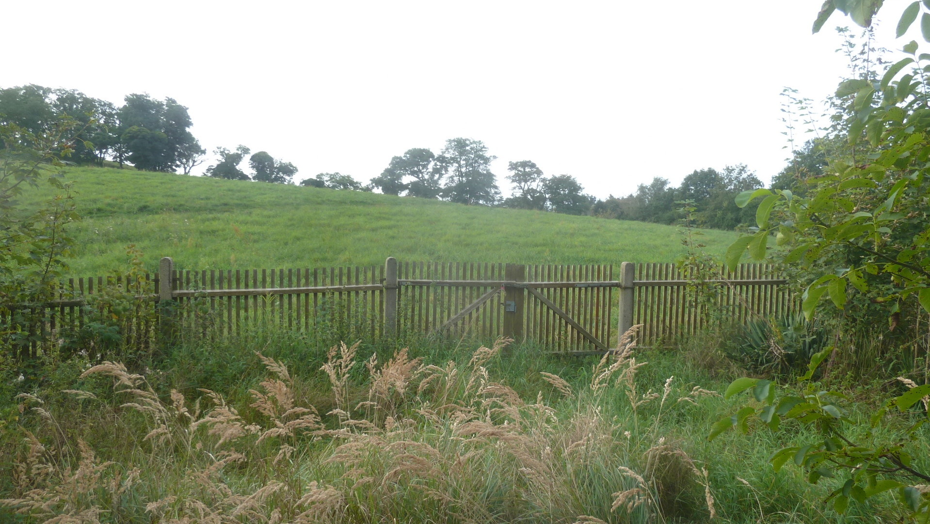 Weite Wiesen und Kuppen Weite Wiesen und Kuppen