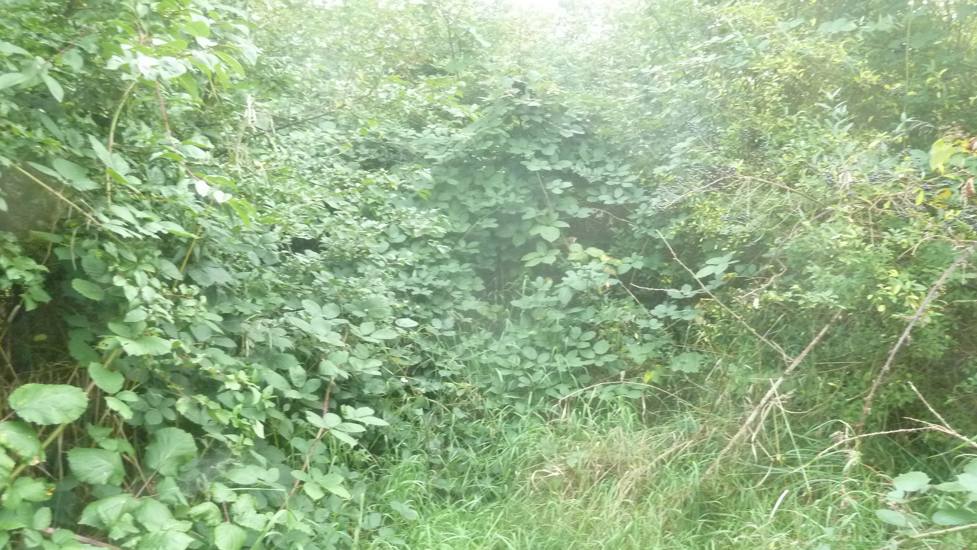 eröffnen schöne Landschaftsausblicke eröffnen schöne Landschaftsausblicke