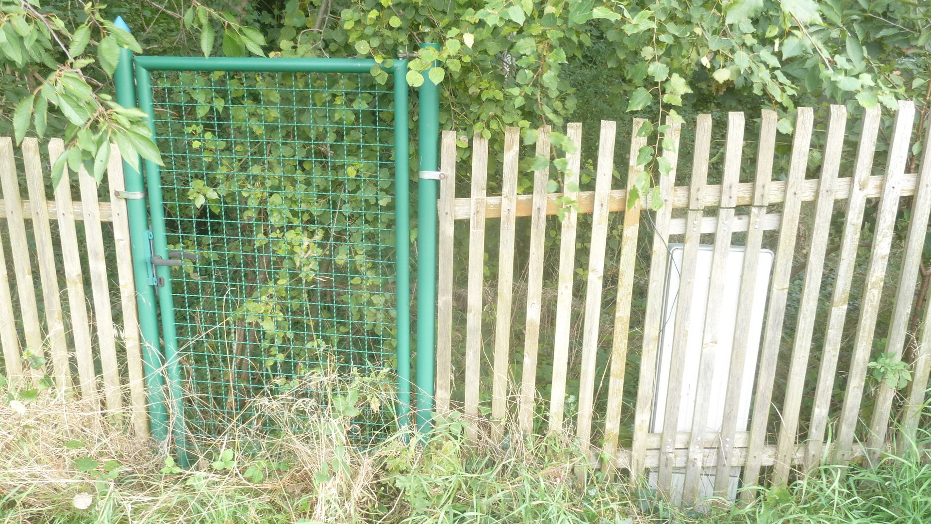 und bietet zahlreiche Möglichkeiten und bietet zahlreiche Möglichkeiten