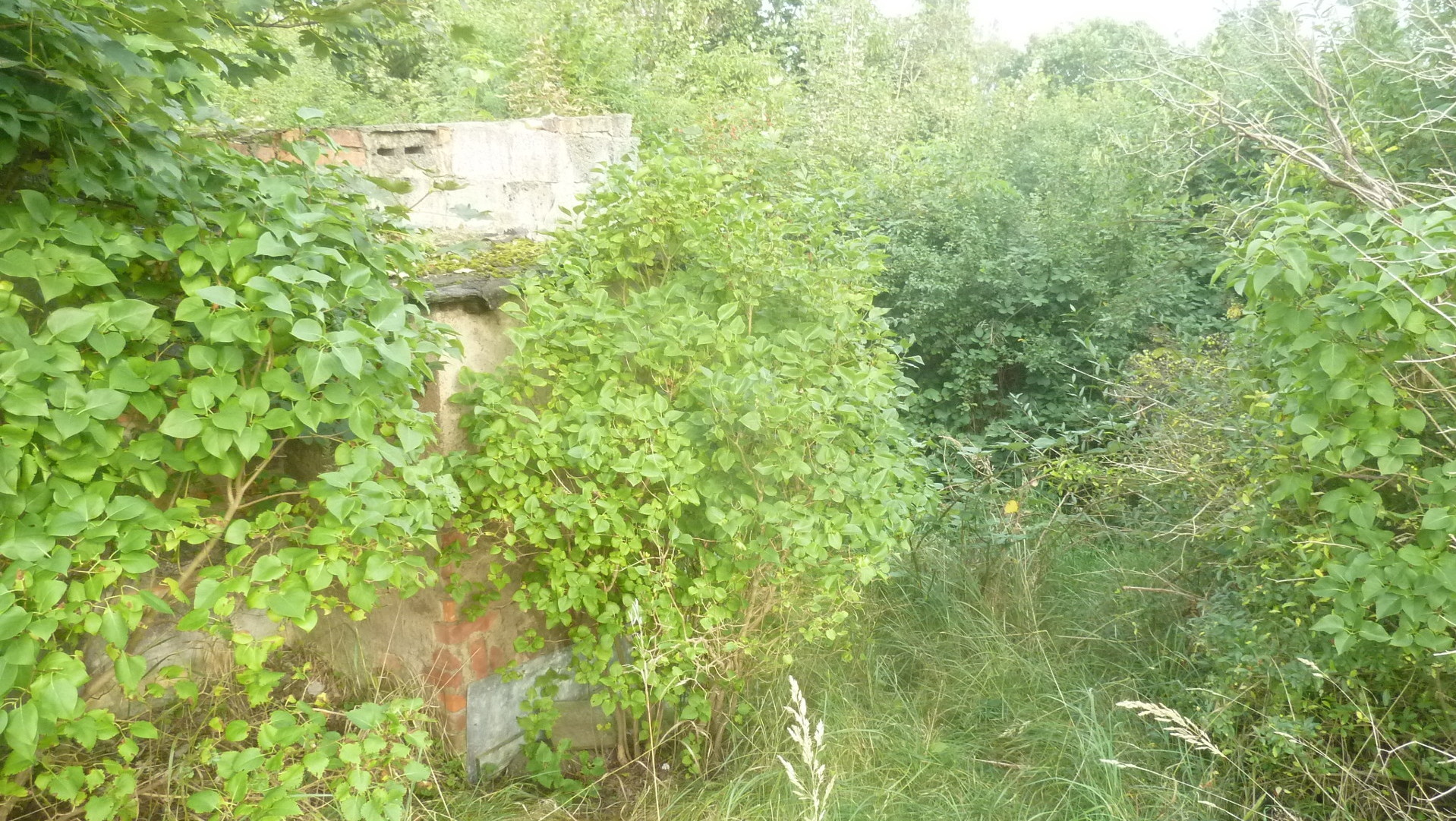 z-B- die Anlage von Trockenmauern z-B- die Anlage von Trockenmauern