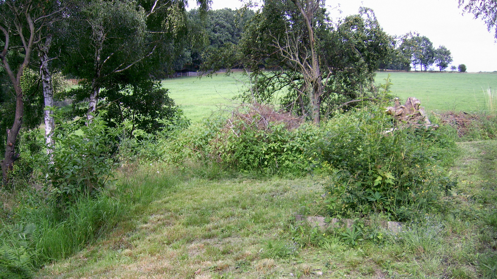 der über einen Gartenweg mit Tor zugänglich ist- der über einen Gartenweg mit Tor zugänglich ist-