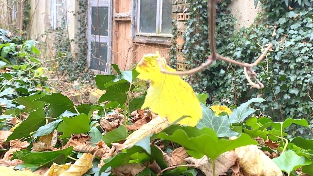 Sonnige Wiesenflächen mit reizvollen Ausblicken Sonnige Wiesenflächen mit reizvollen Ausblicken