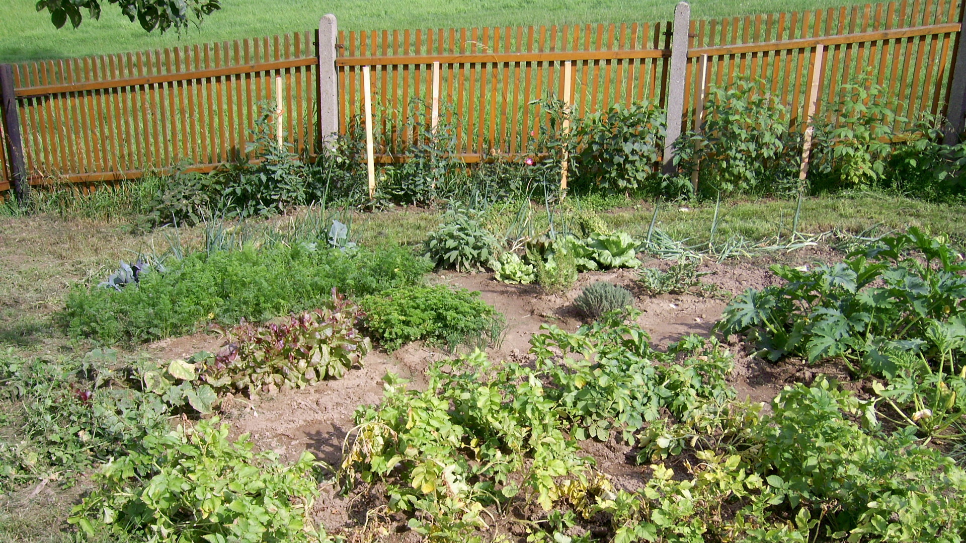 liegen vor dem Haus - liegen vor dem Haus -