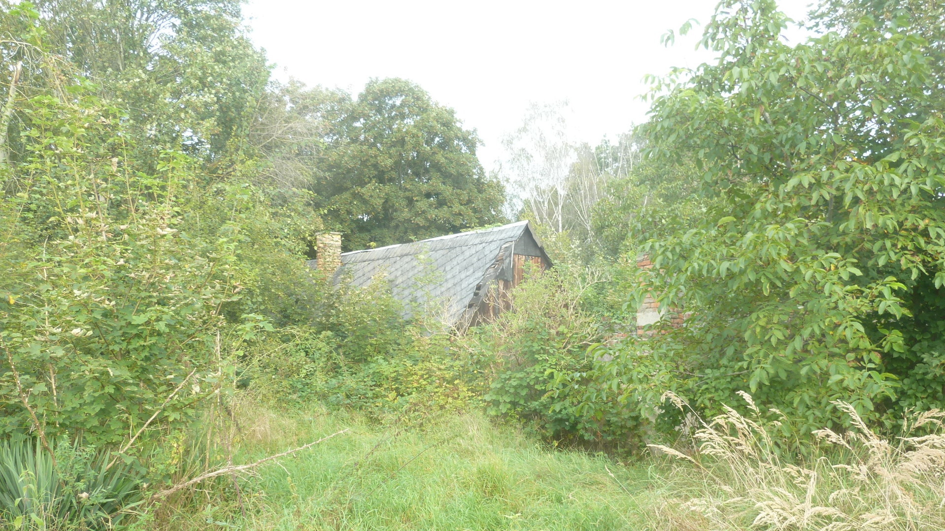 Ein Bebauungsplan für das Flurstück existiert- Ein Bebauungsplan für das Flurstück existiert-
