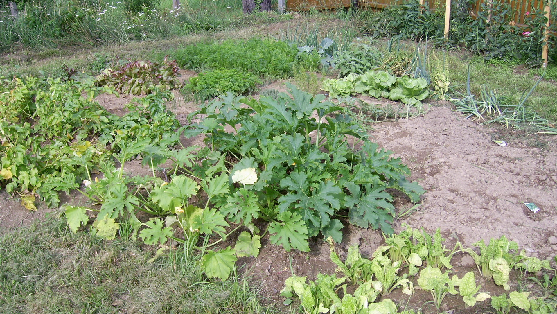 Die planungsrechtliche Beurteilung Die planungsrechtliche Beurteilung