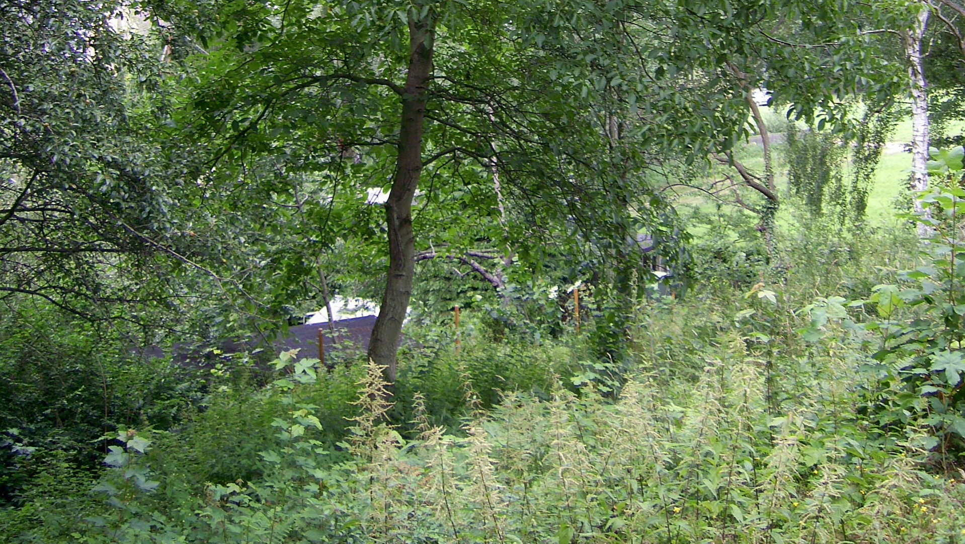 und liegt zwischen zwei Wohnhäusern- und liegt zwischen zwei Wohnhäusern-