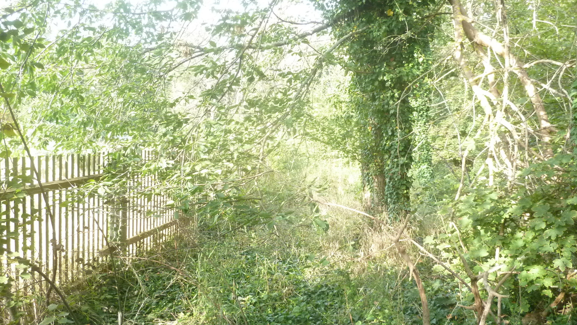 setzt die Aufstellung eines Bebauungsplans setzt die Aufstellung eines Bebauungsplans