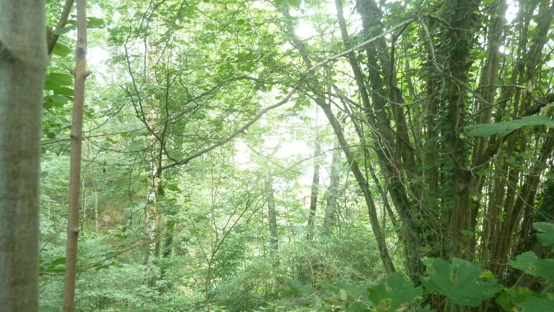 Ohne Auflagen bebaubar beziehungsweise Ohne Auflagen bebaubar beziehungsweise