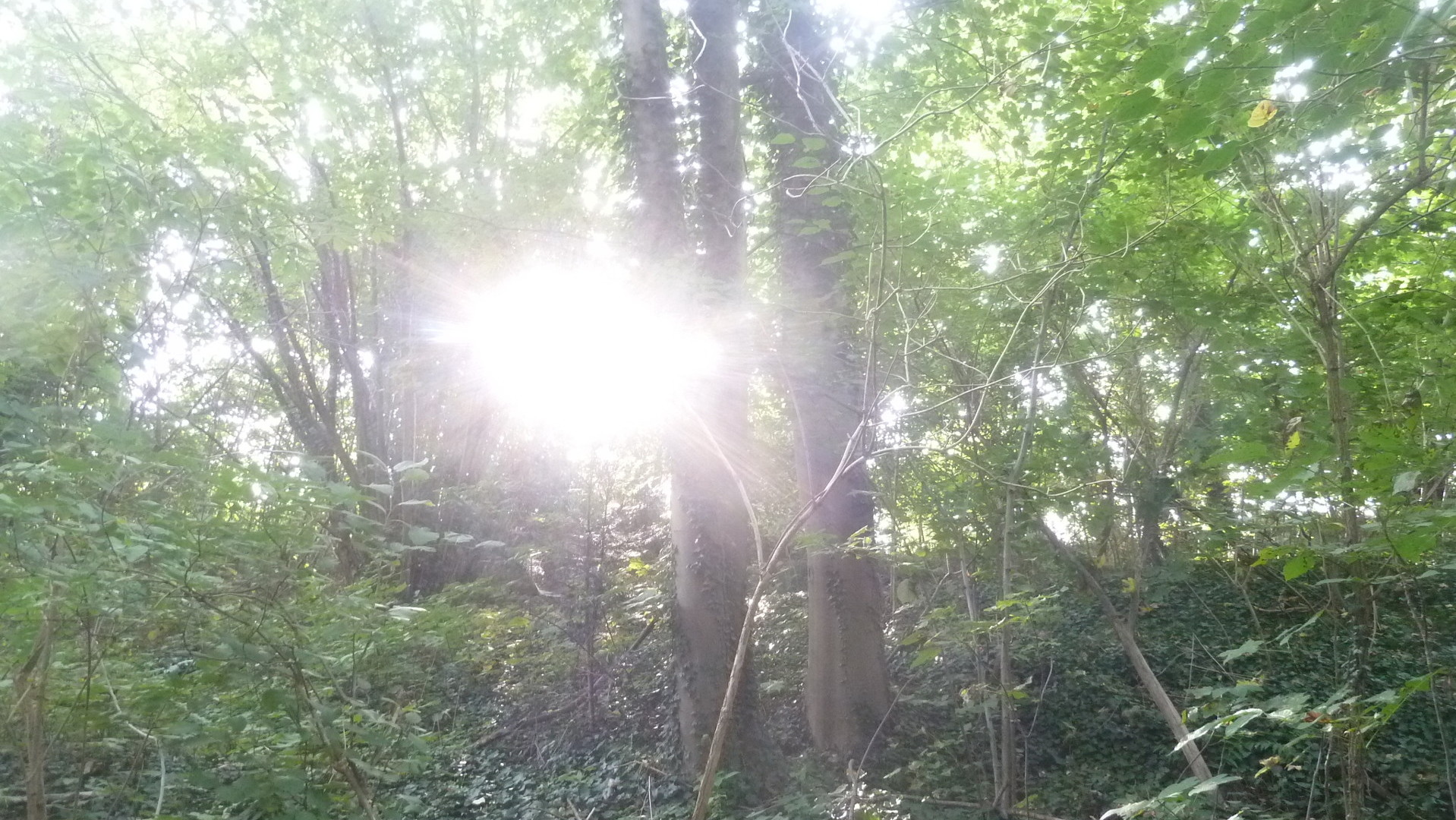 sanierbar ist das Grundstück sanierbar ist das Grundstück