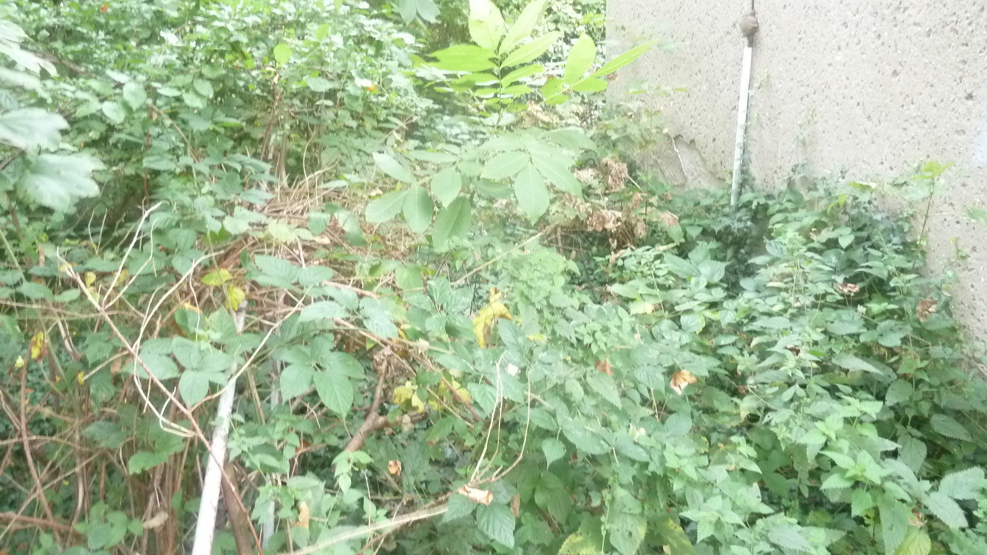 auf dem bestehenden Wohngebäude- auf dem bestehenden Wohngebäude-