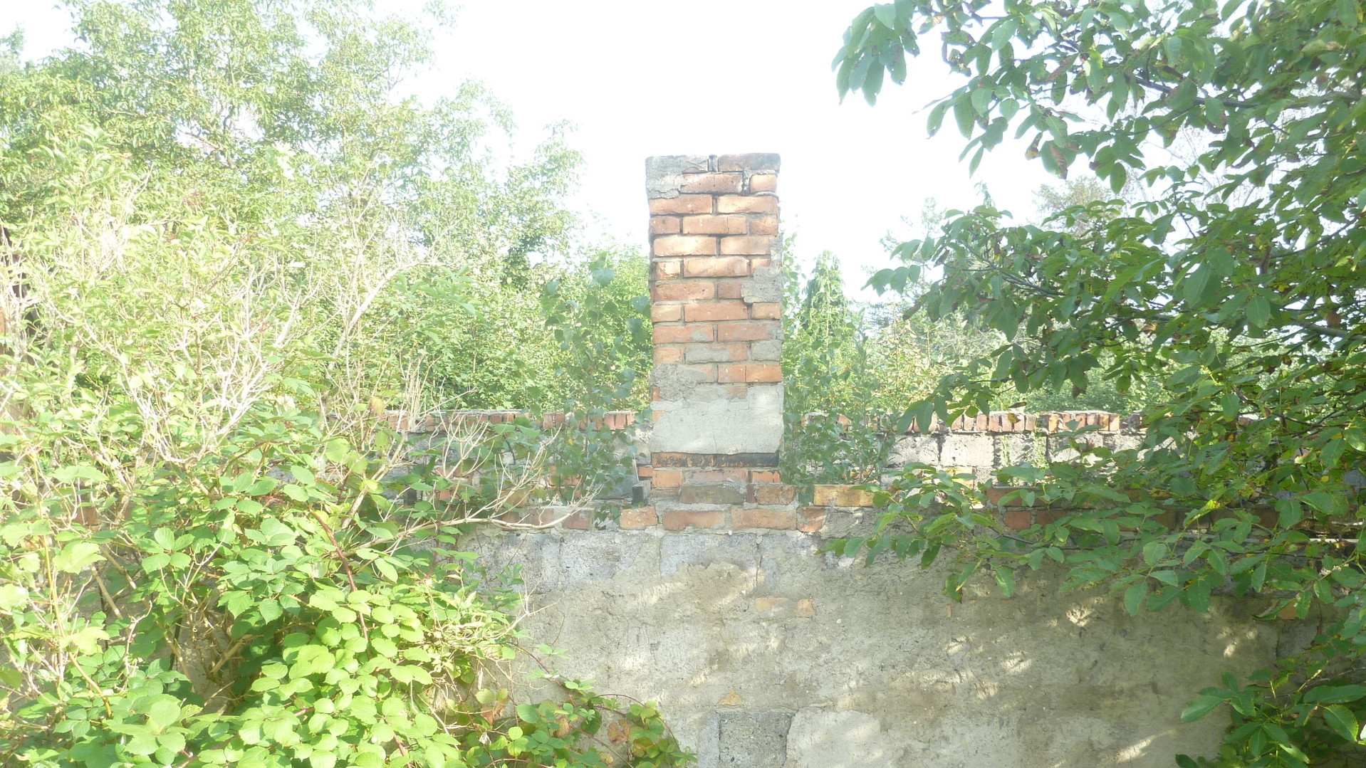 da hierfür der Bestandsschutz gilt- da hierfür der Bestandsschutz gilt-