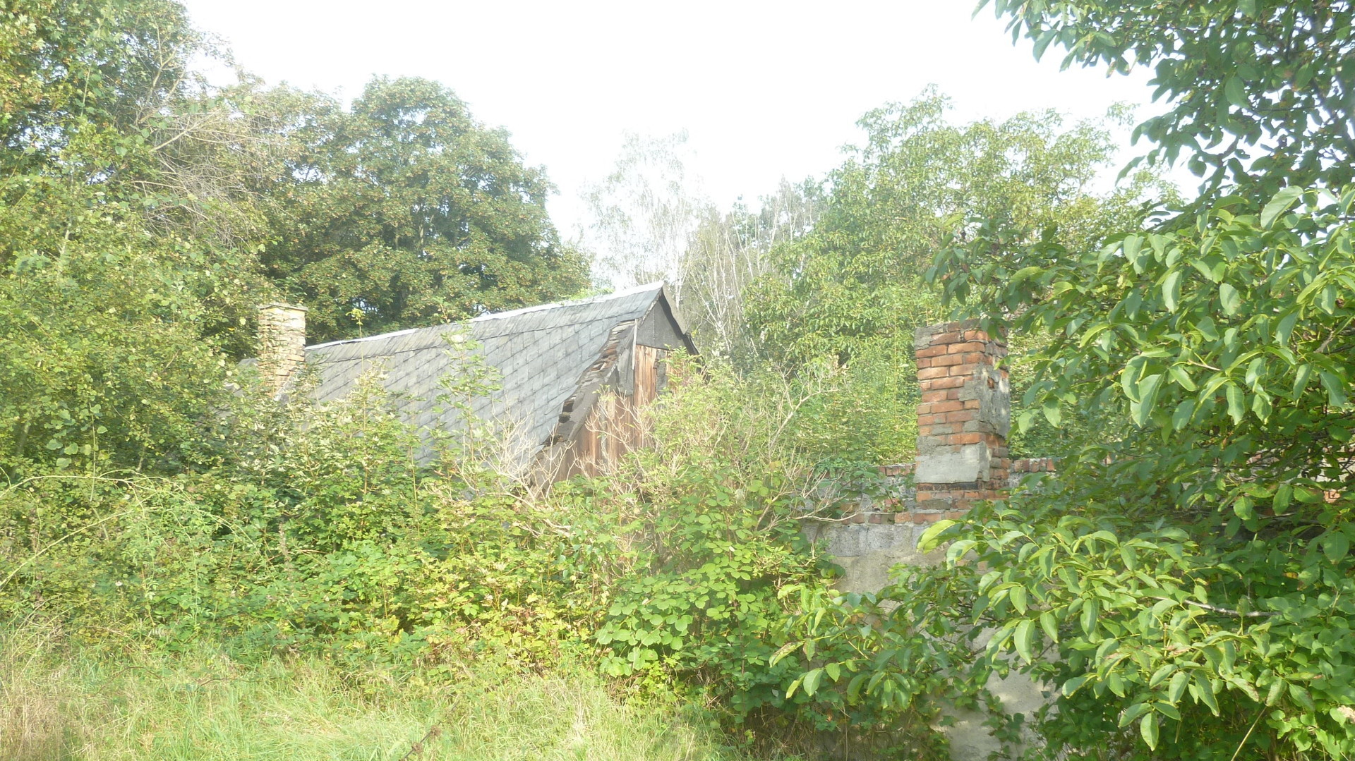 Eine Vollrenovierung ist erforderlich- Eine Vollrenovierung ist erforderlich-