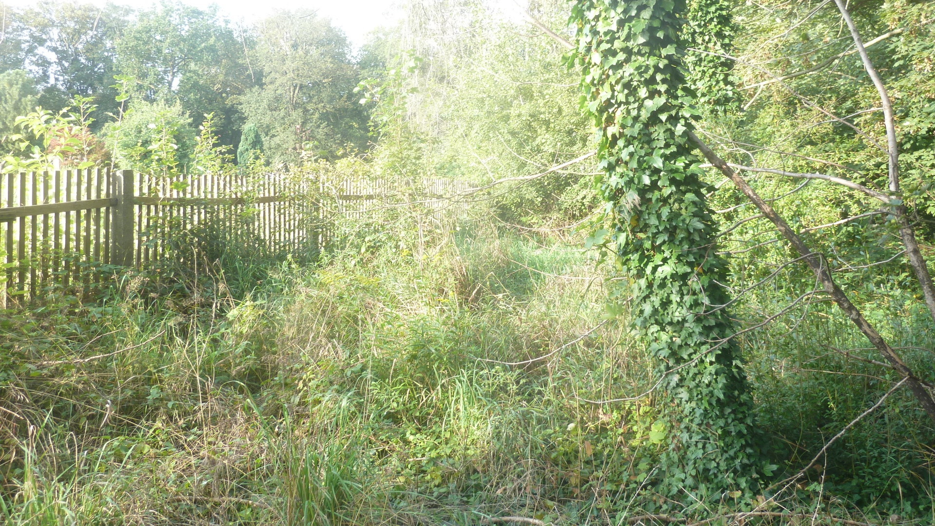 hierzu erfolgte bereits eine hierzu erfolgte bereits eine