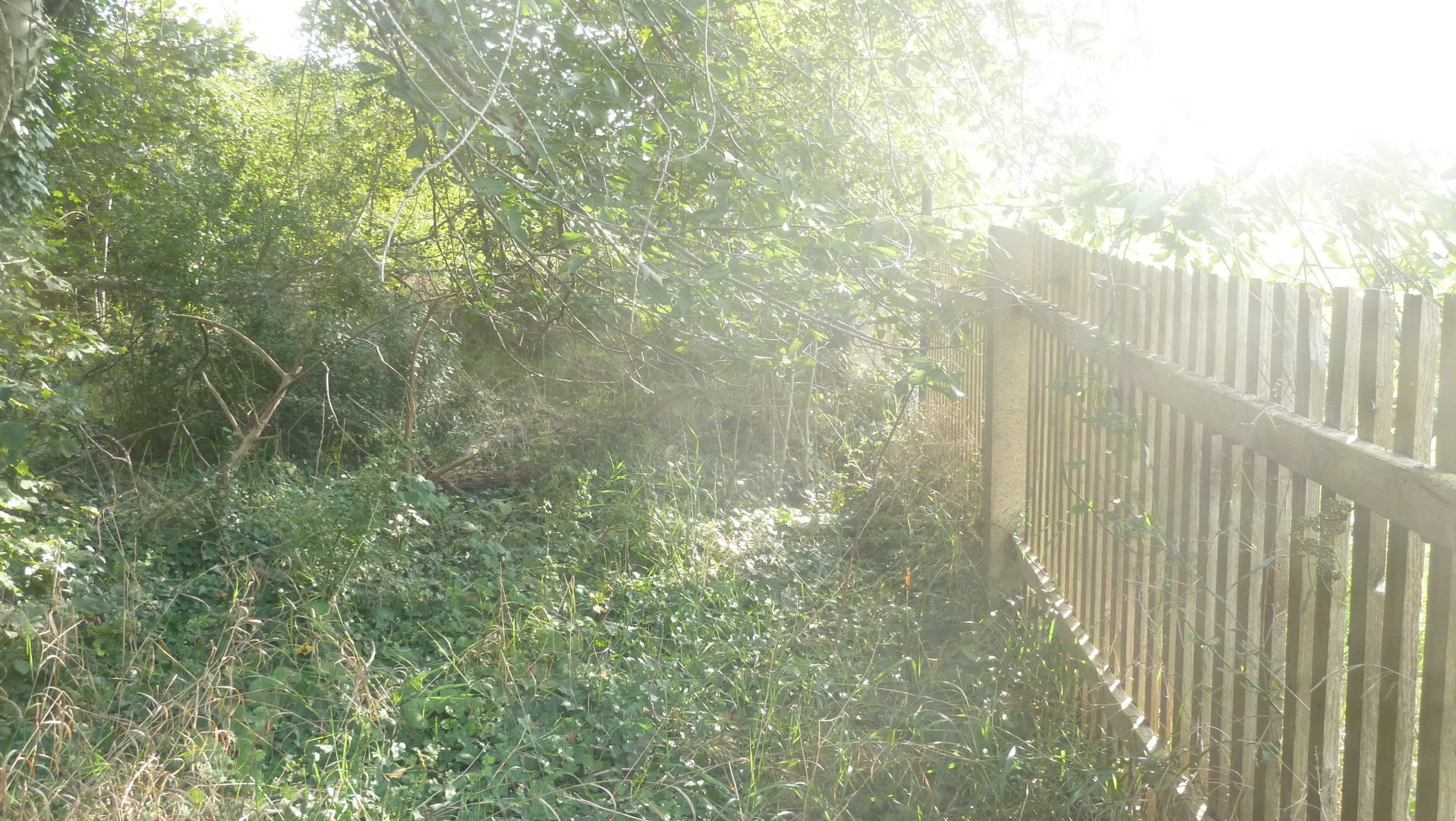 Teilbeseitigung schadhafter Dachbereiche- Teilbeseitigung schadhafter Dachbereiche-