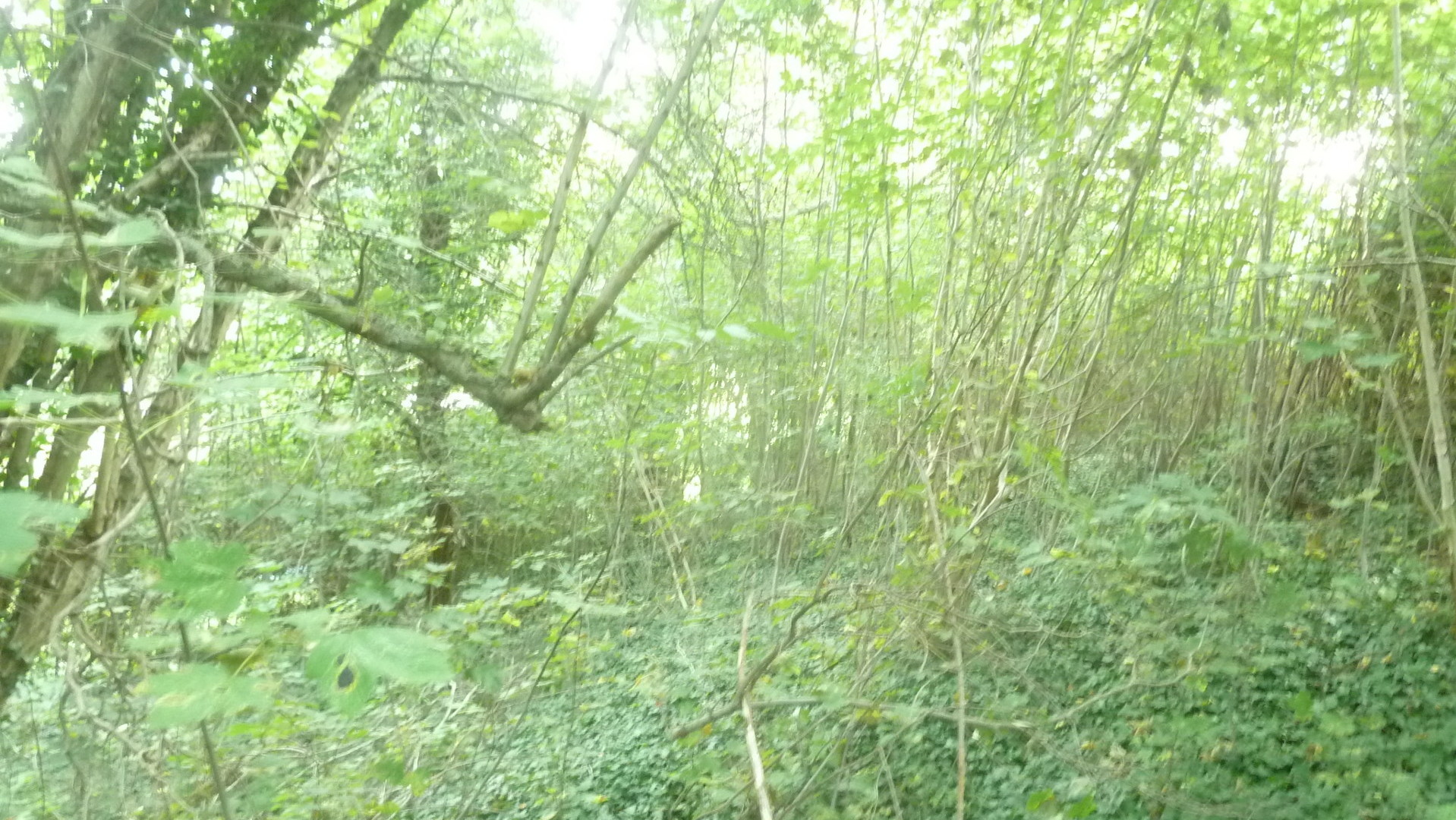 Die Gebäudegröße misst ca- 69-52 m² Die Gebäudegröße misst ca- 69-52 m²